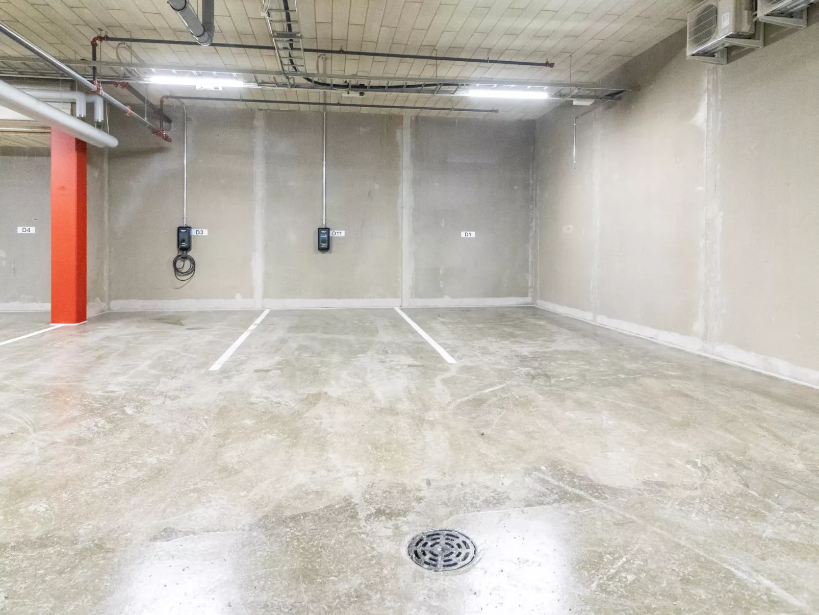 Lingonberry d11 - Binnen