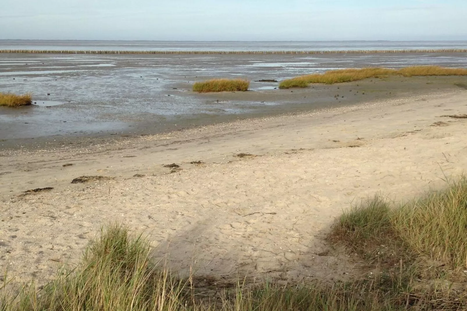 112041-Gebieden zomer 5km