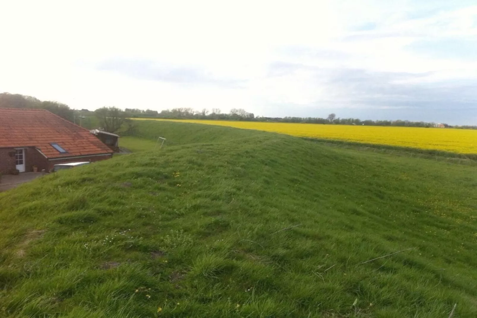 111107-Gebieden zomer 1km