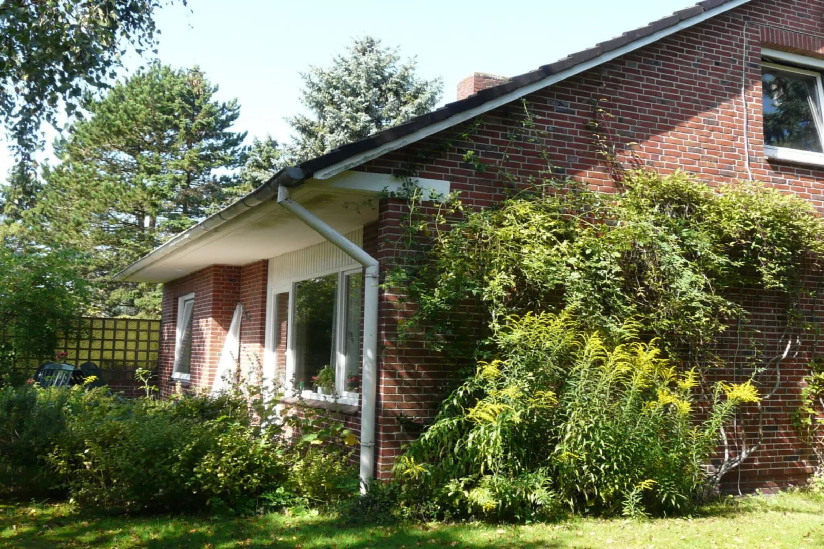 94531-Buitenkant zomer