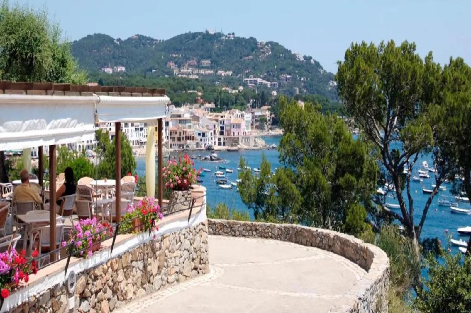 Sarrio-Gebieden zomer 20km