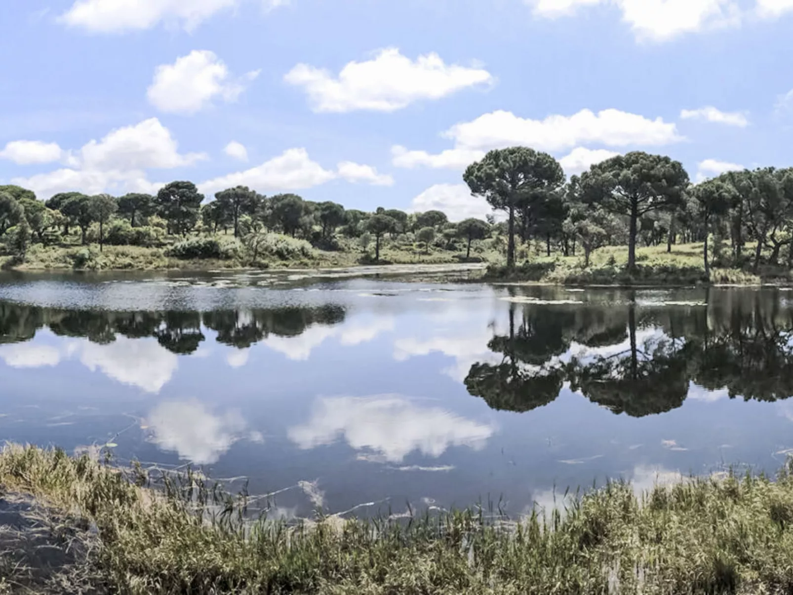 Villa Cegonha-Buiten