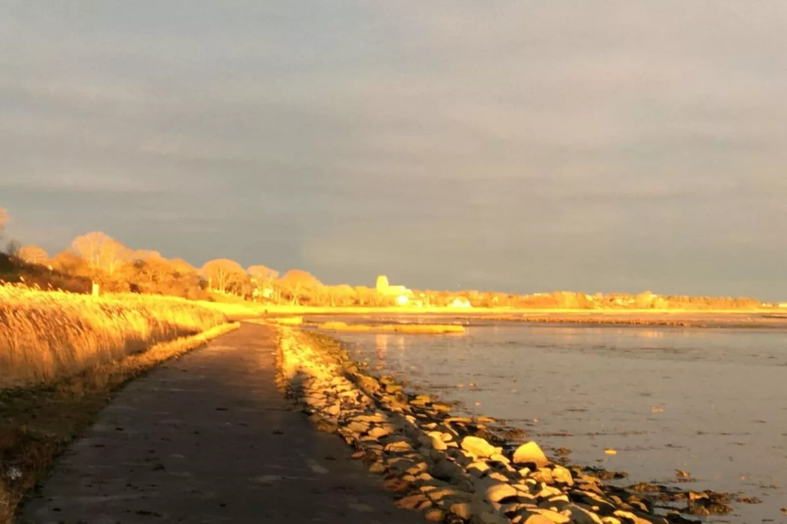 283745-Gebieden zomer 1km