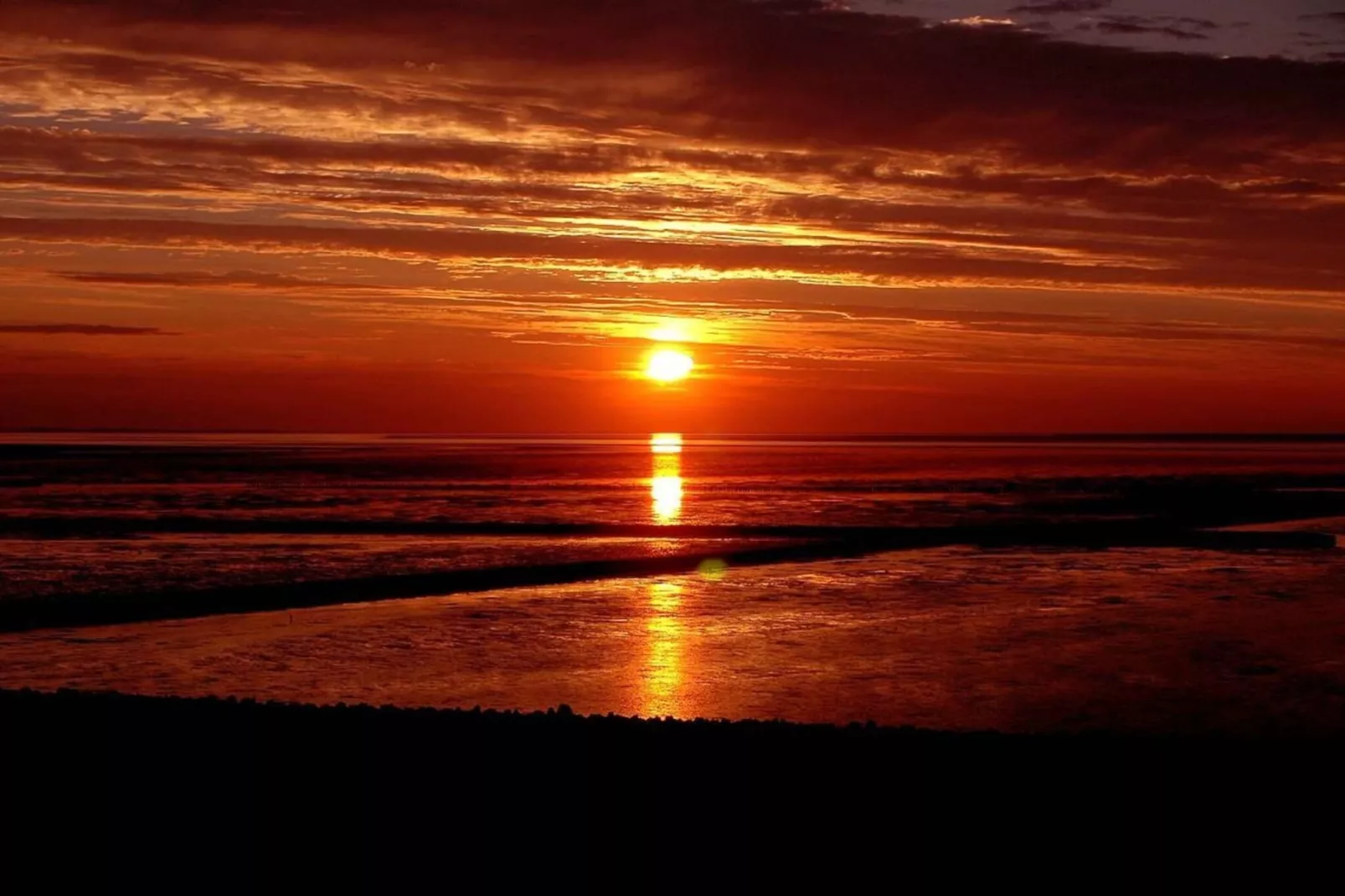 128858-Gebieden zomer 5km