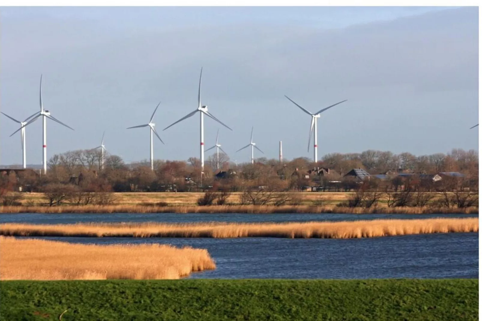 604283 - Image-tags.water view