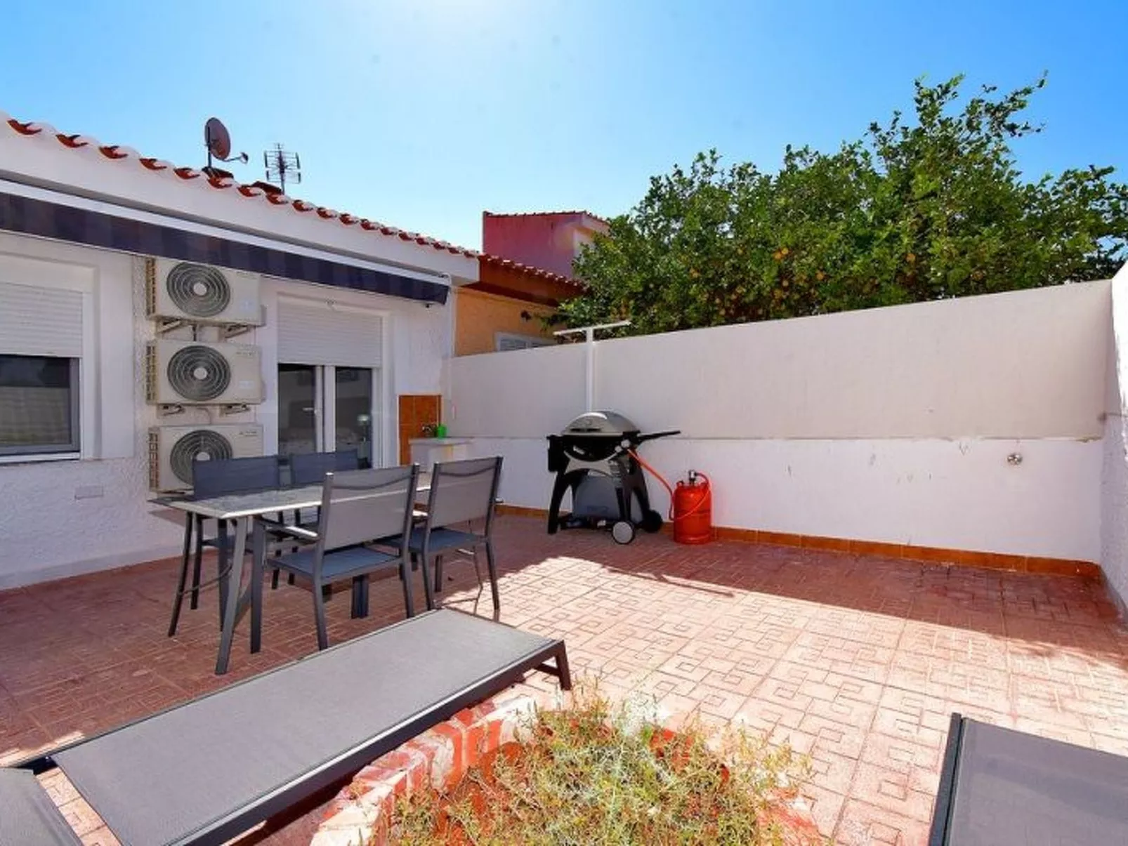 PALMERA 40-Image-tags.info