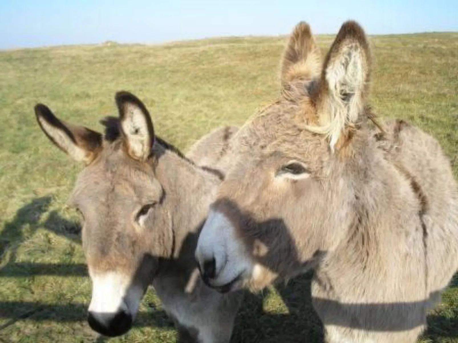 "Garence" mit eigener Terrasse-Buiten