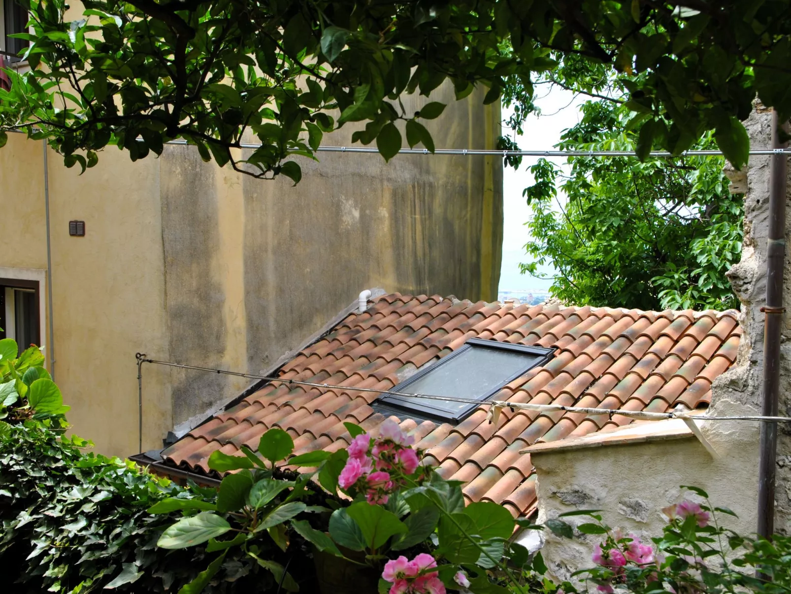 Giardino dei Limoni - Buiten