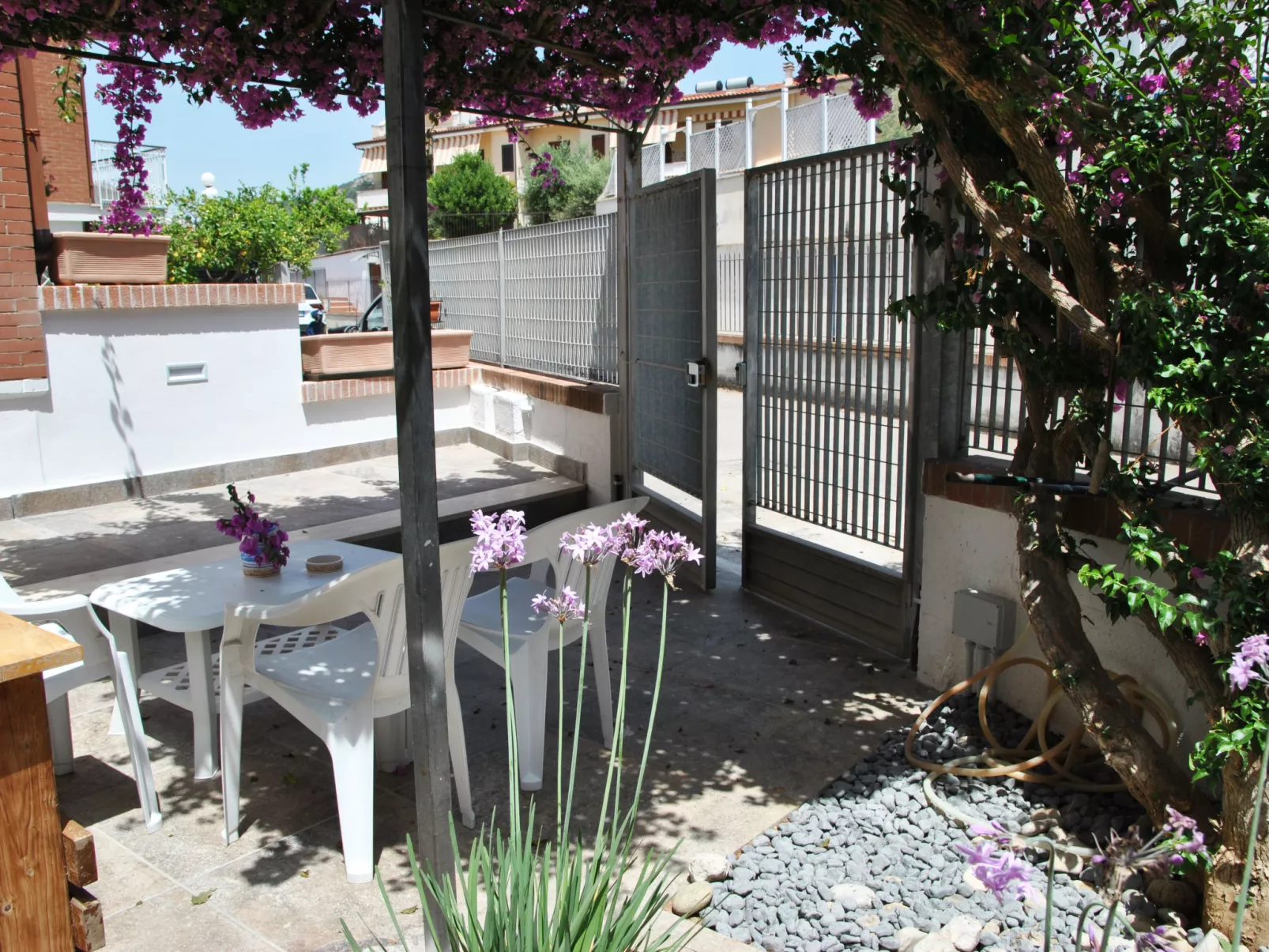 Bouganville - Buiten