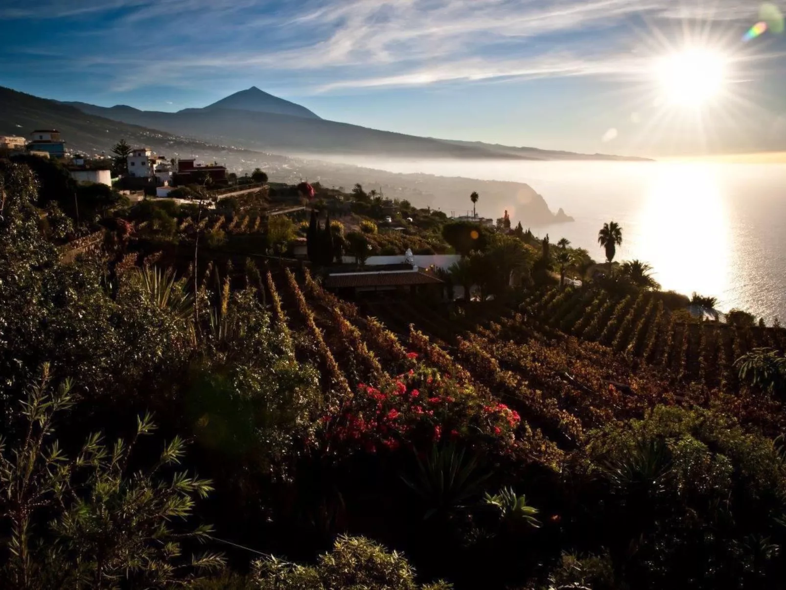 El Teide - Image-tags.info