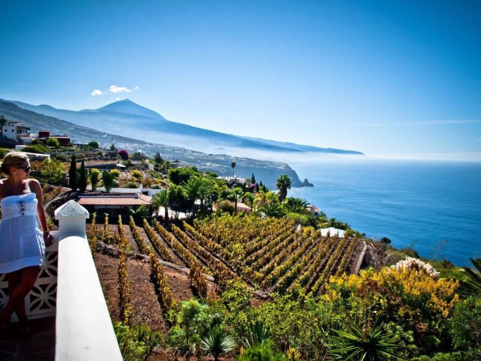 Wohnung in La Matanza De Acentejo mit Terrasse, gemeinsamem Pool und Garten - Image-tags.info