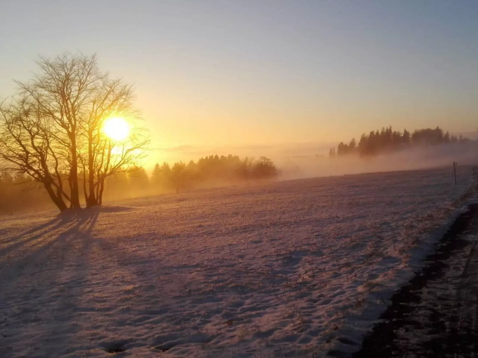 Schöne Moderne Ferienwohnung für 2-4 Personen + Hund in Sankt Andreasberg im Ob - Image-tags.info