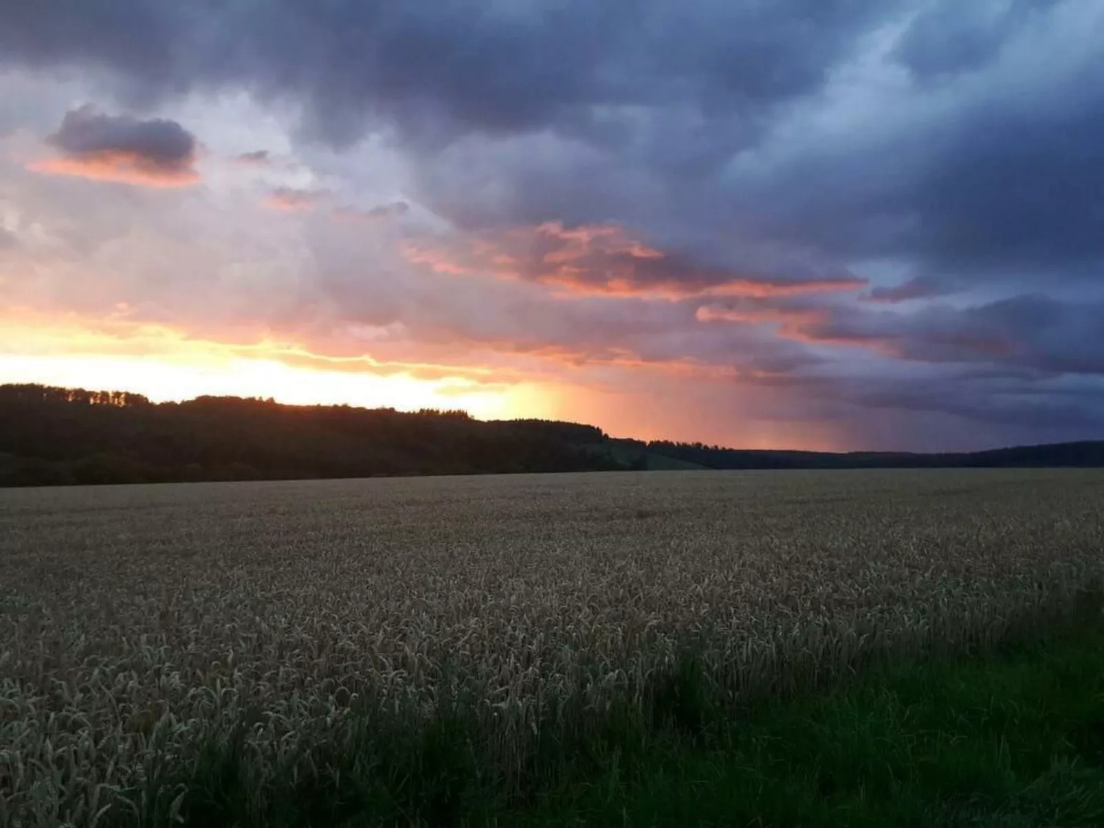 Der Bauerngarten - Image-tags.info