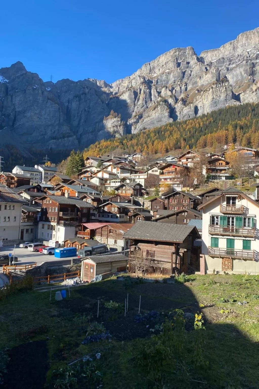 Studio Majing - Image-tags.info