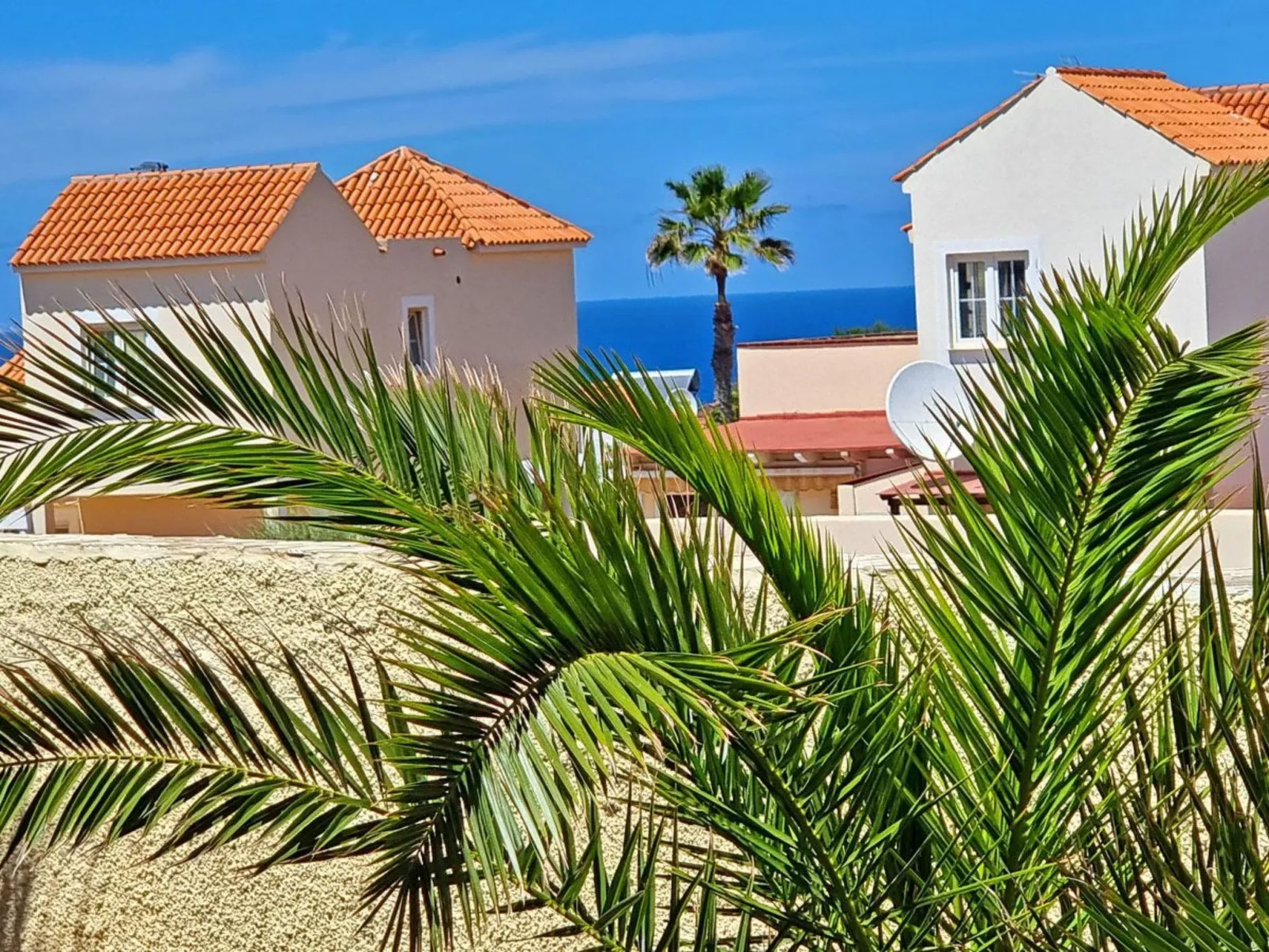 Casa Oasis - Image-tags.info