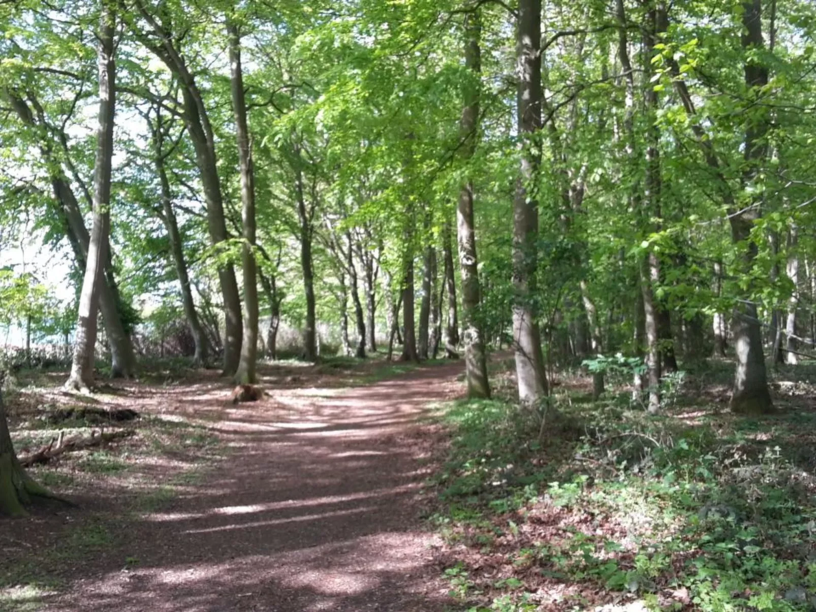 Wald Chalet Nr 2 - Image-tags.info