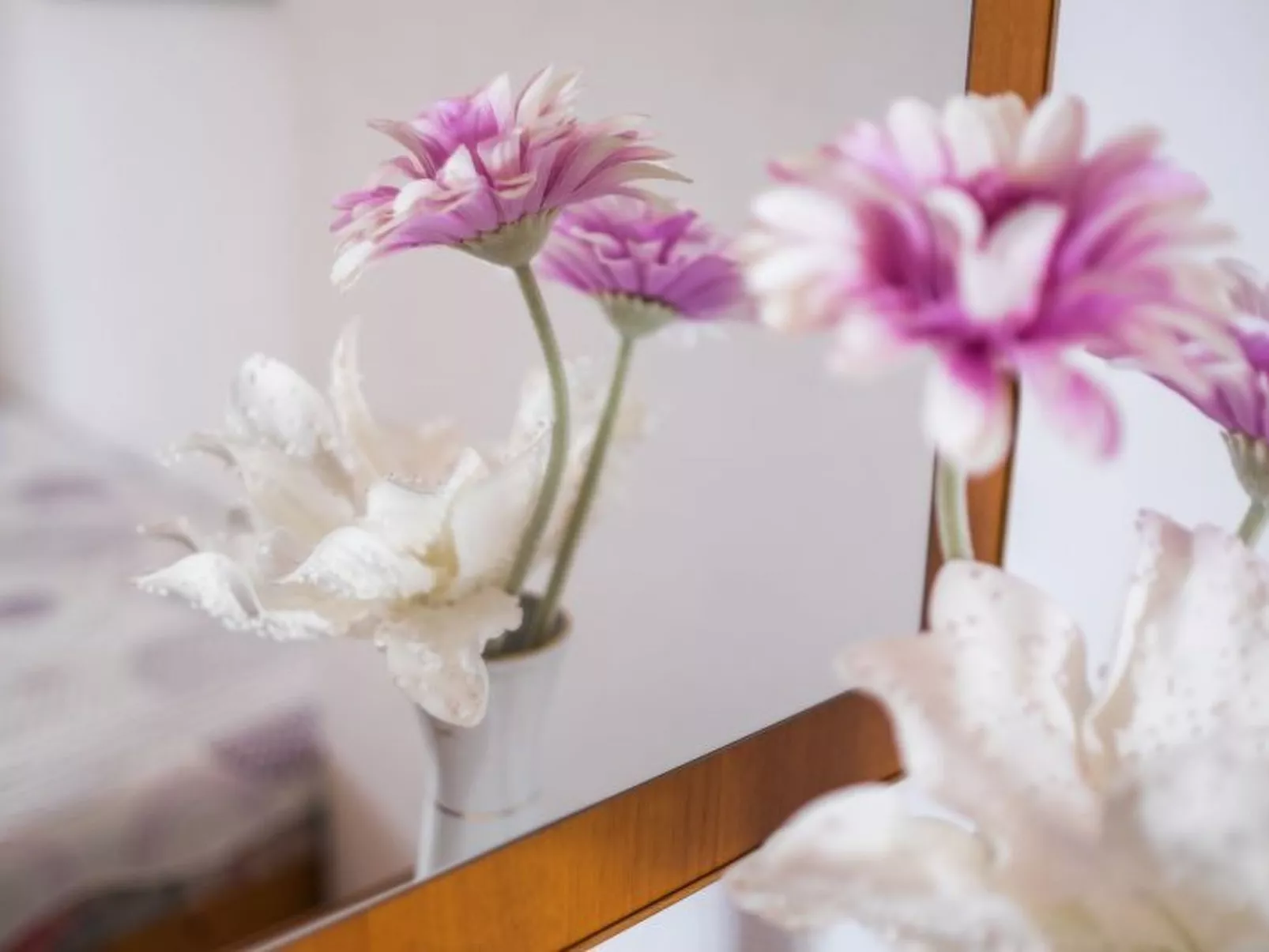 Apartman Višnja  - ID 2106 - Image-tags.info