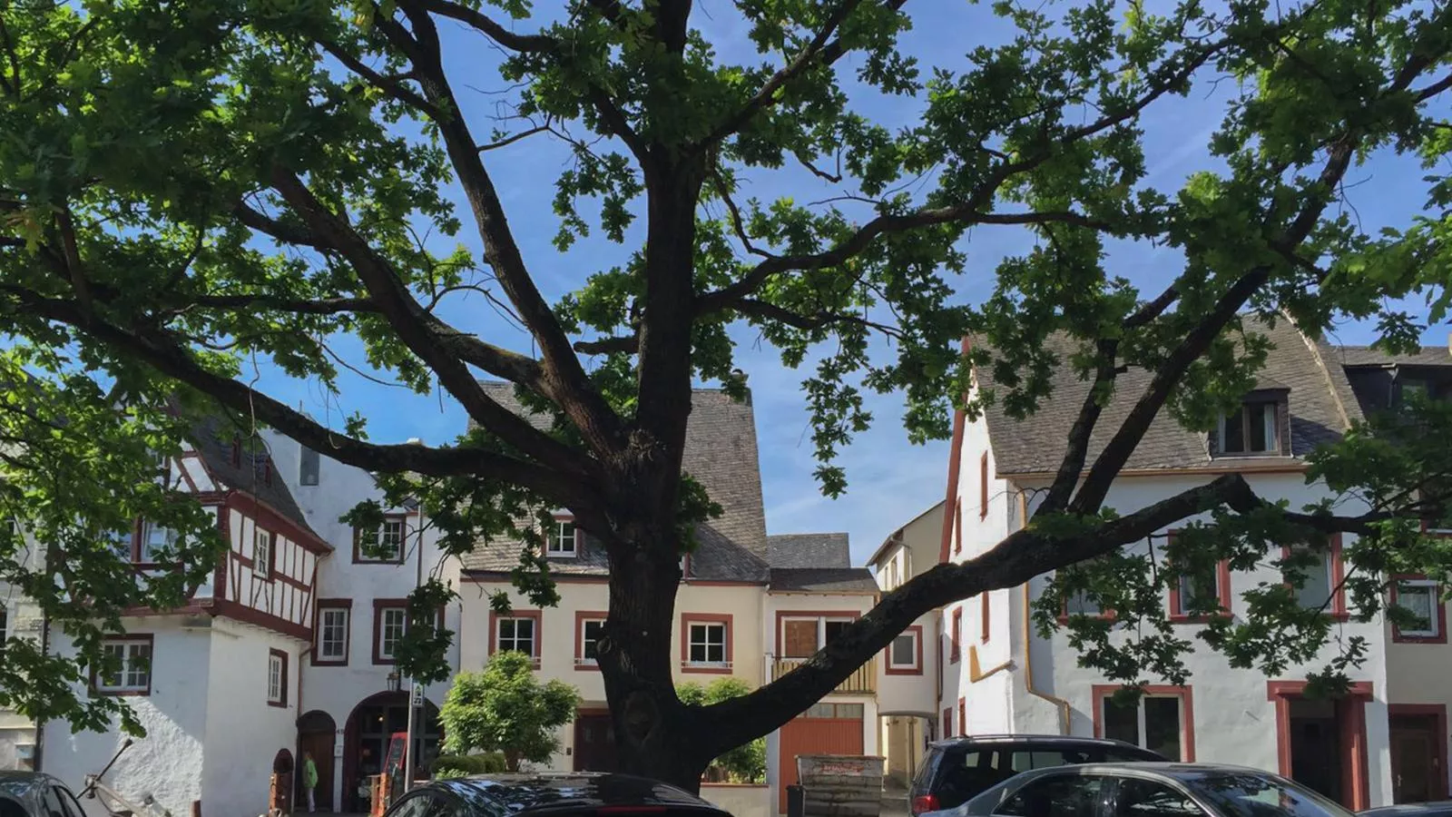 Quelle - Buitenkant zomer