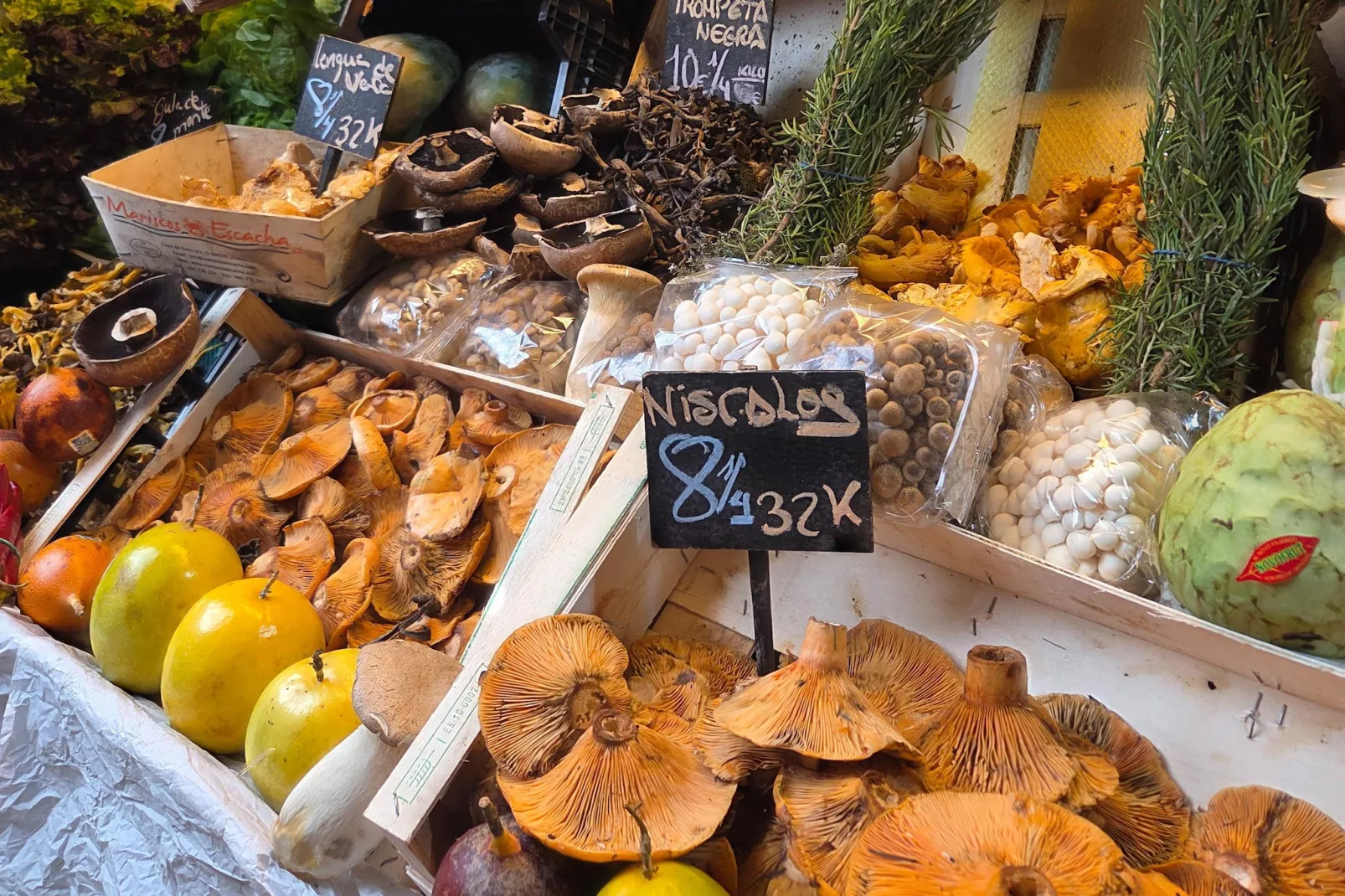 Casita Cartama - Gebieden zomer 1km