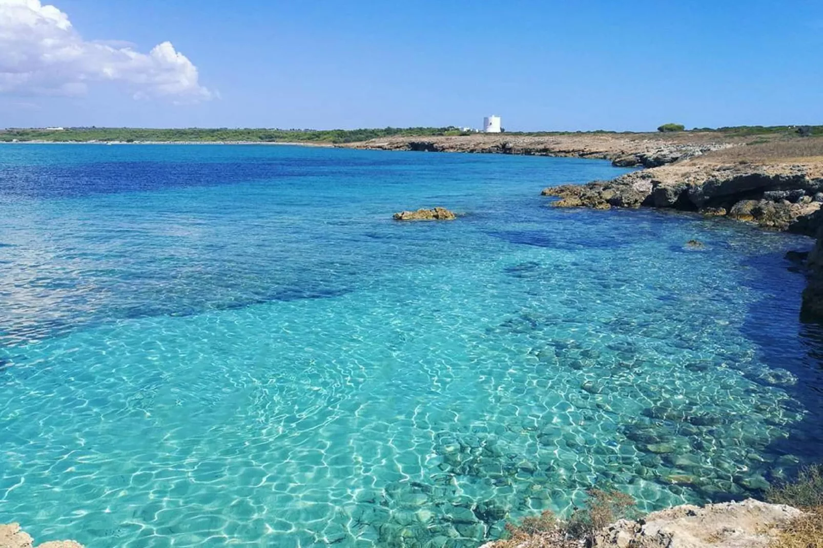 CVG51 - Gebieden zomer 1km