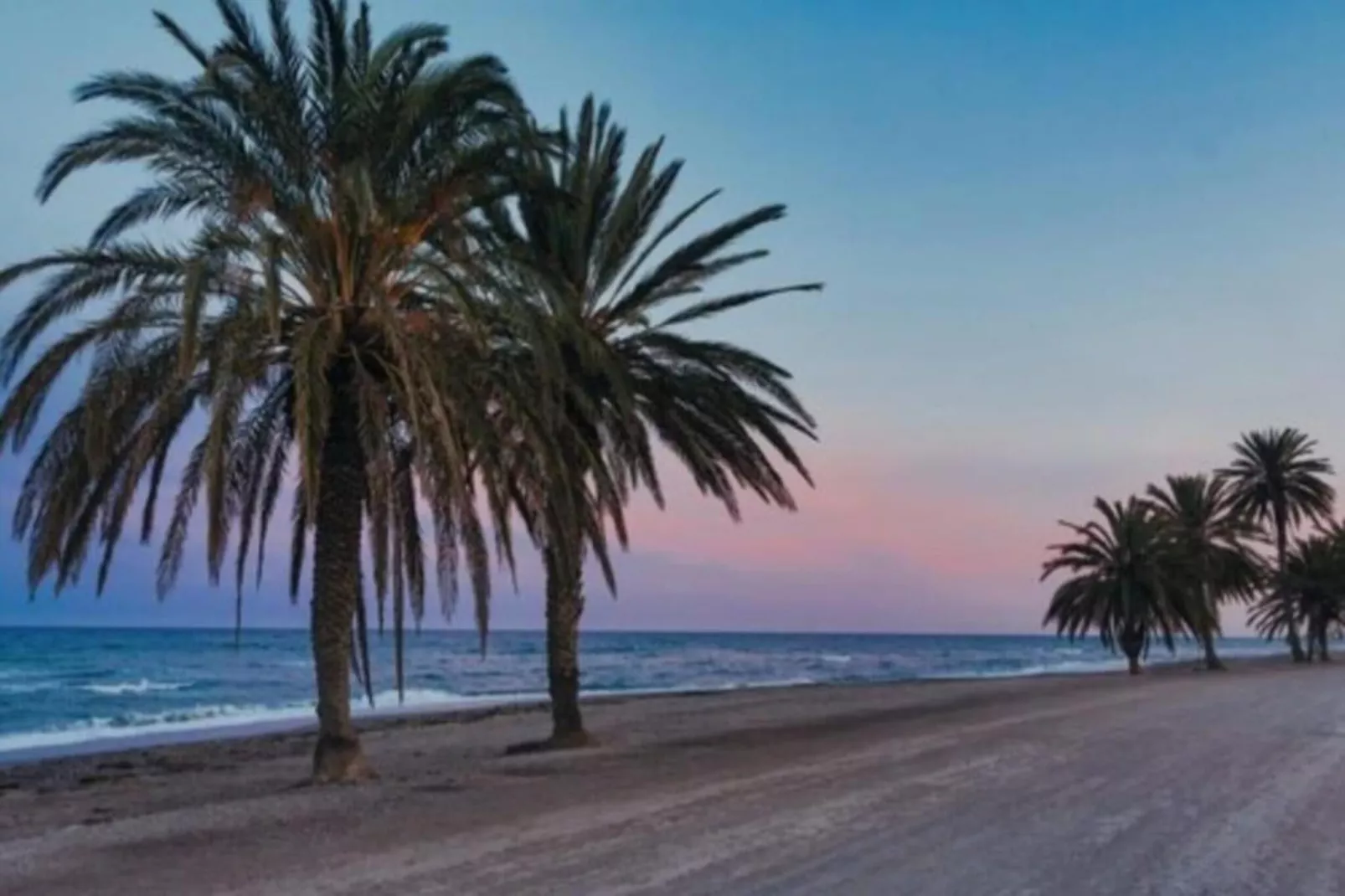 Moguima 2d-Gebieden zomer 1km