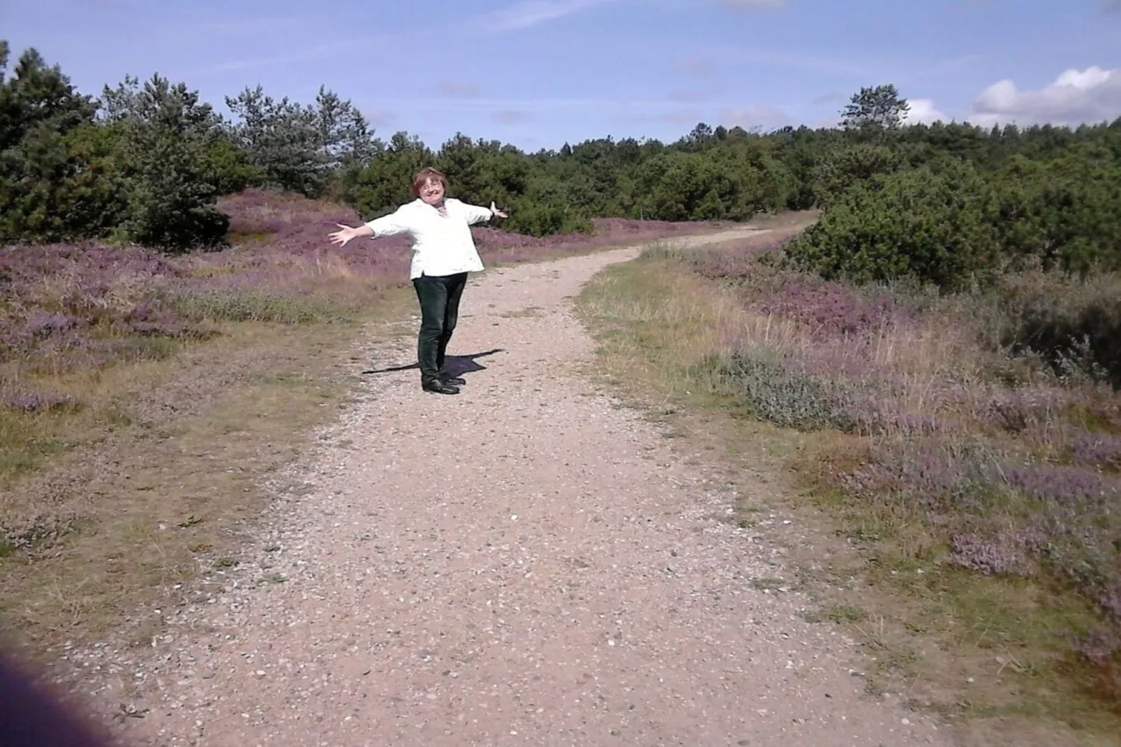 46450 - Tuinen zomer