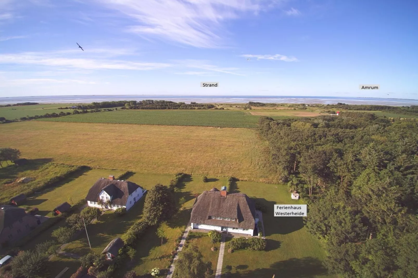 142985-Buitenkant zomer