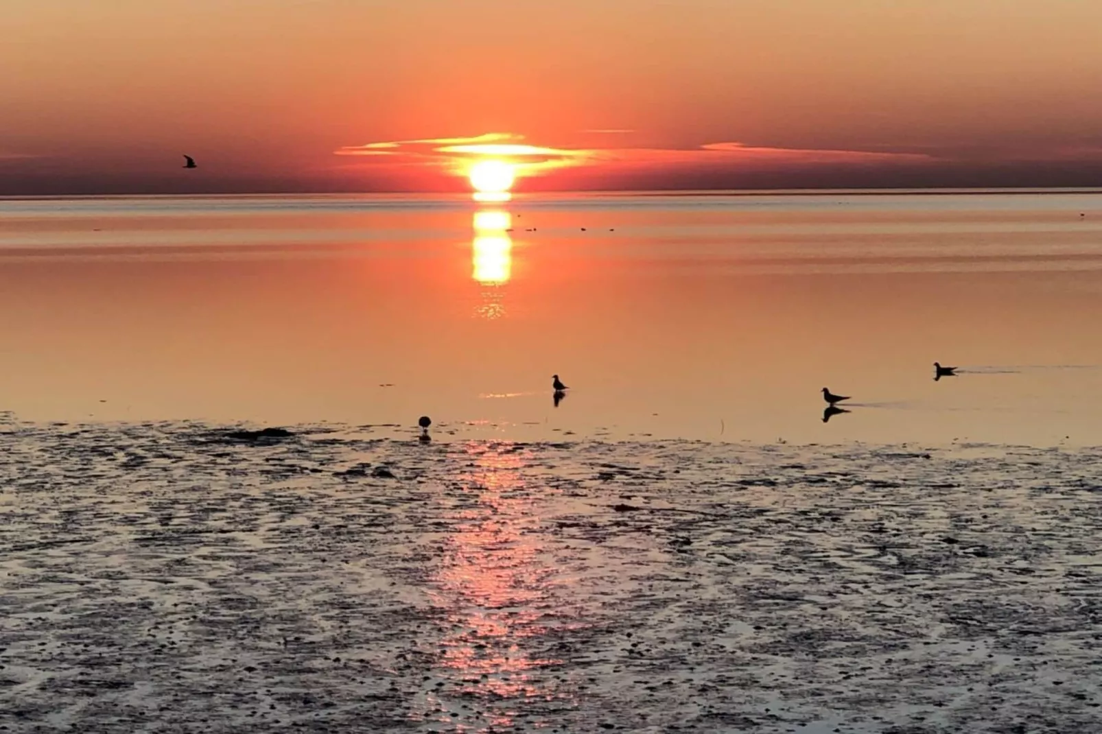 430499-Image-tags.water view