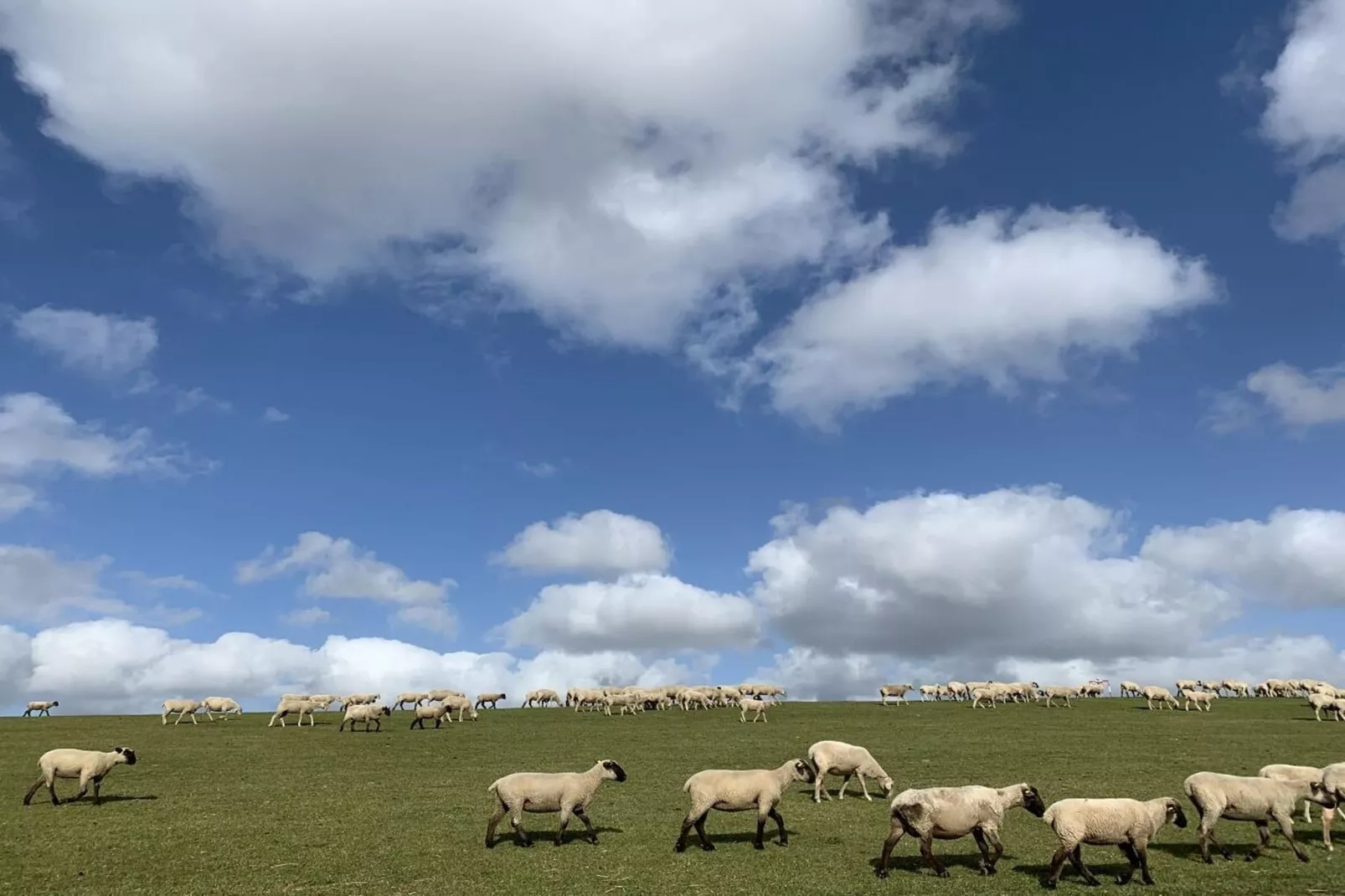97432-Gebieden zomer 5km
