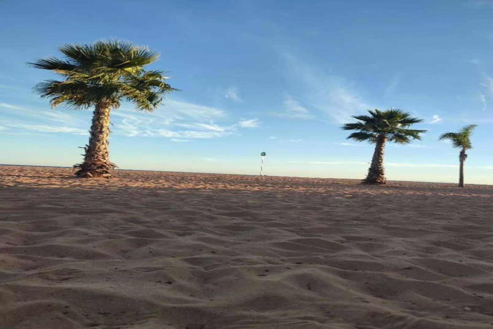 La Dune N°17 - Villa 3P6-Gebieden zomer 20km