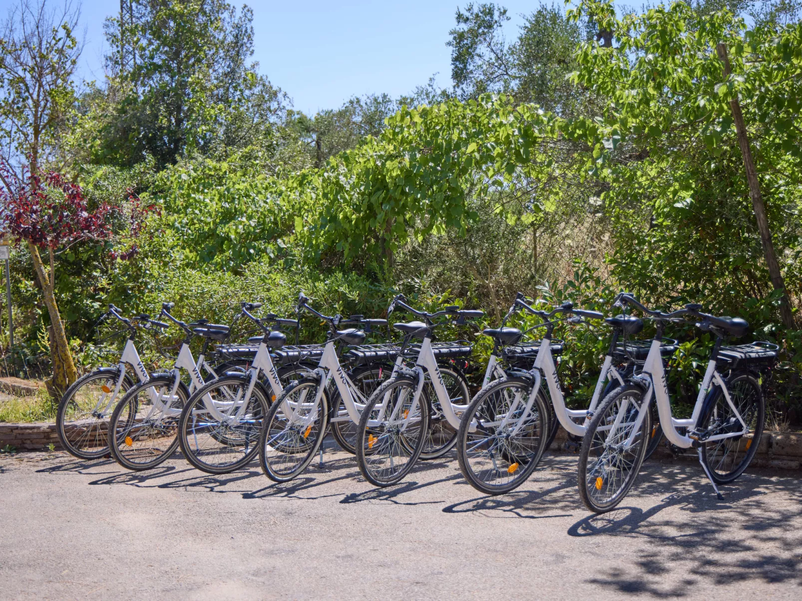 Costa D'Argento - Binnen