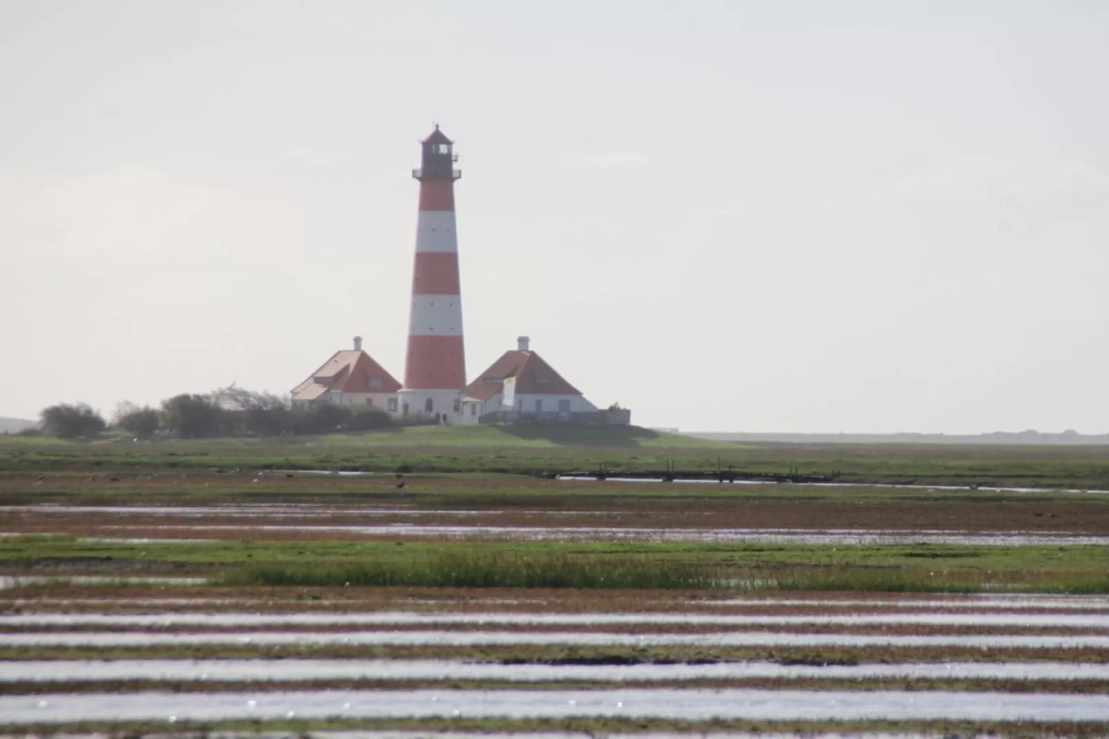 261897-Gebieden zomer 5km