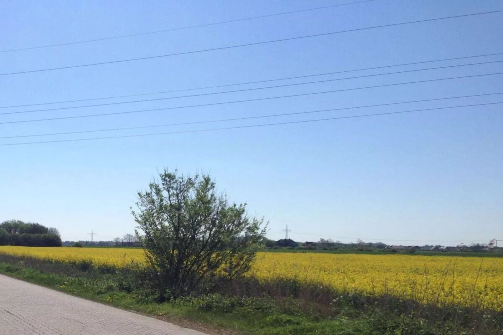 165895 - Gebieden zomer 5km