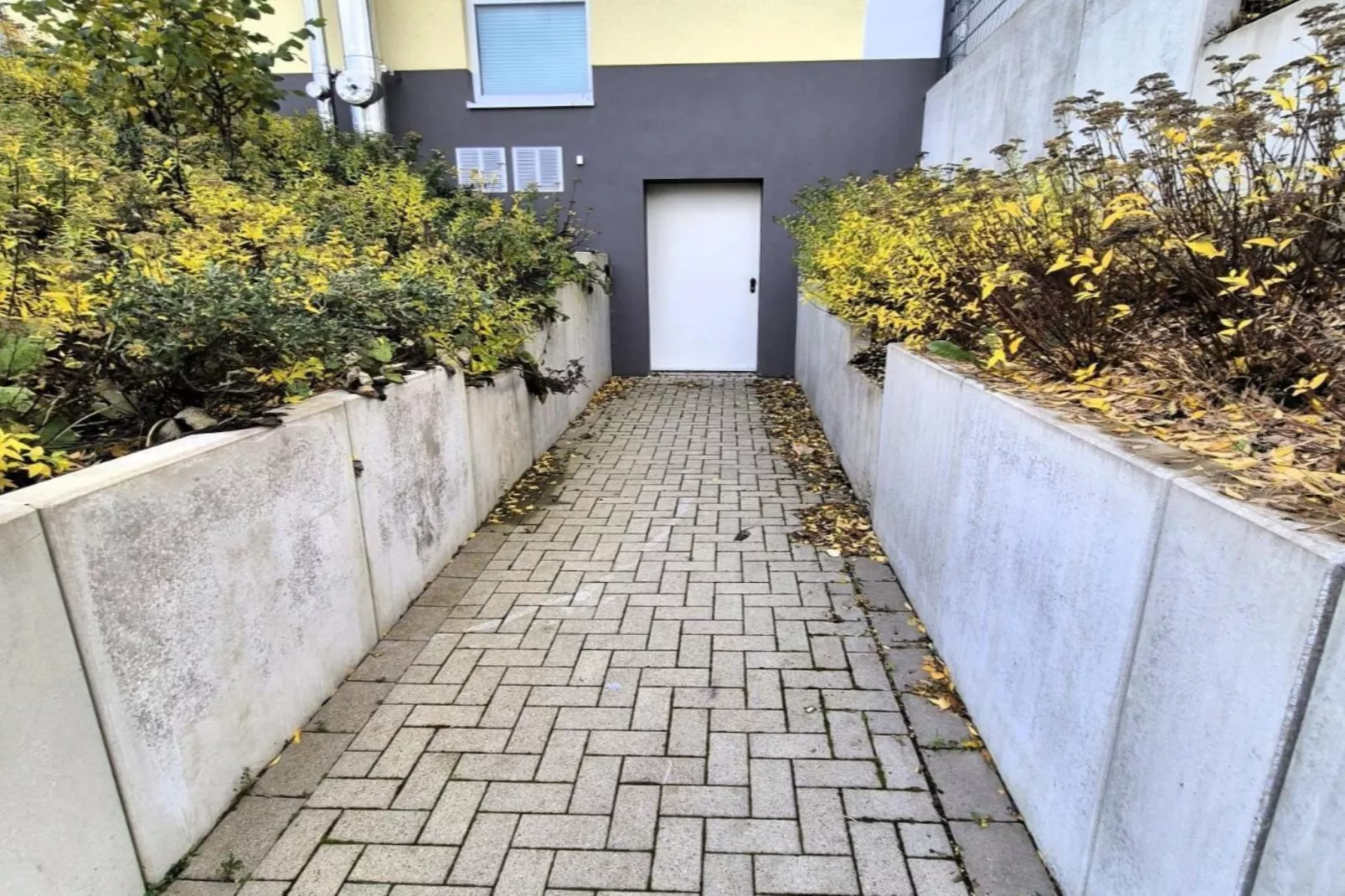 NEW ADD 1 SZ/4 P- Winterberg Appartement 21141 Penthouse-Gebieden zomer 1km