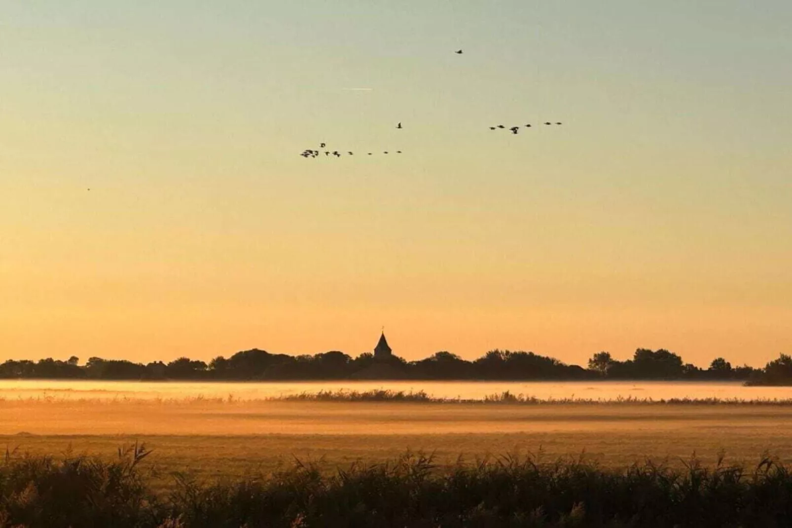 579042 - Buitenkant zomer