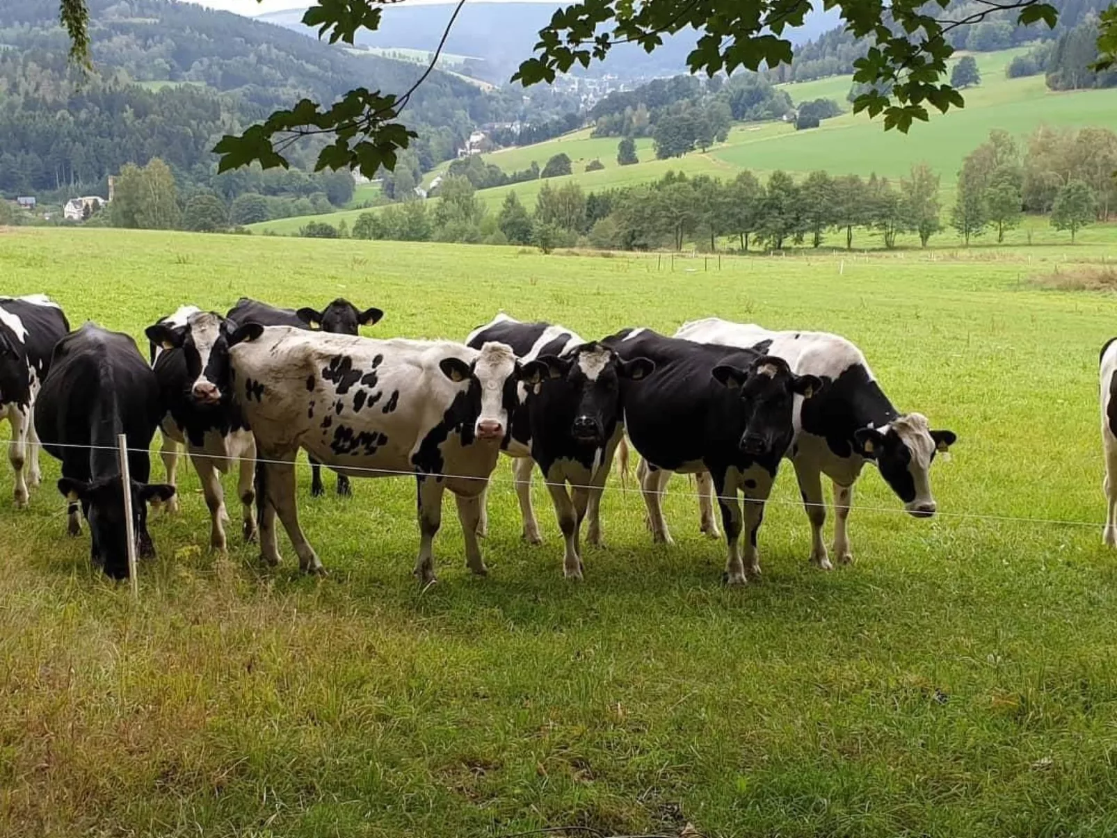 Appartement mit Blick auf das Wasser-Image-tags.info