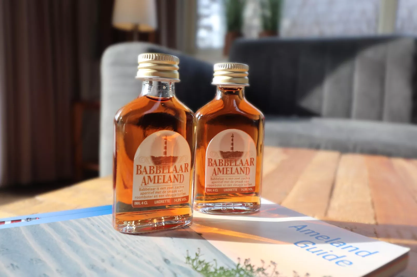 Comfort Chalet-Sfeer