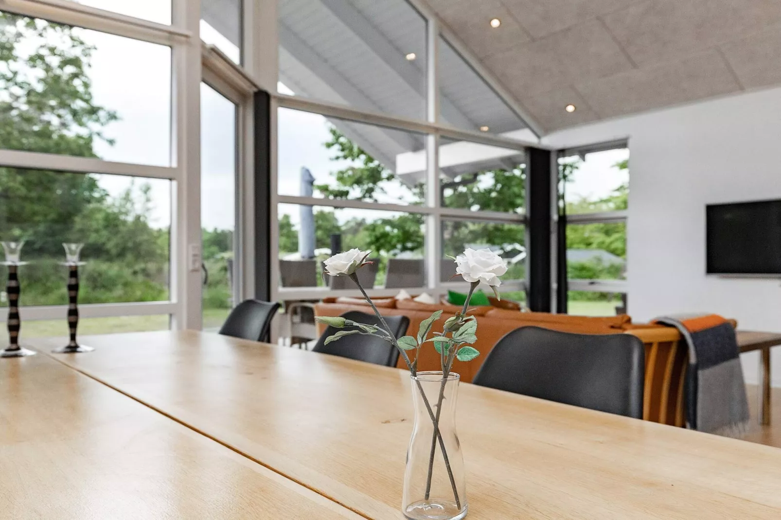 5 sterren vakantie huis in Hals-Binnen