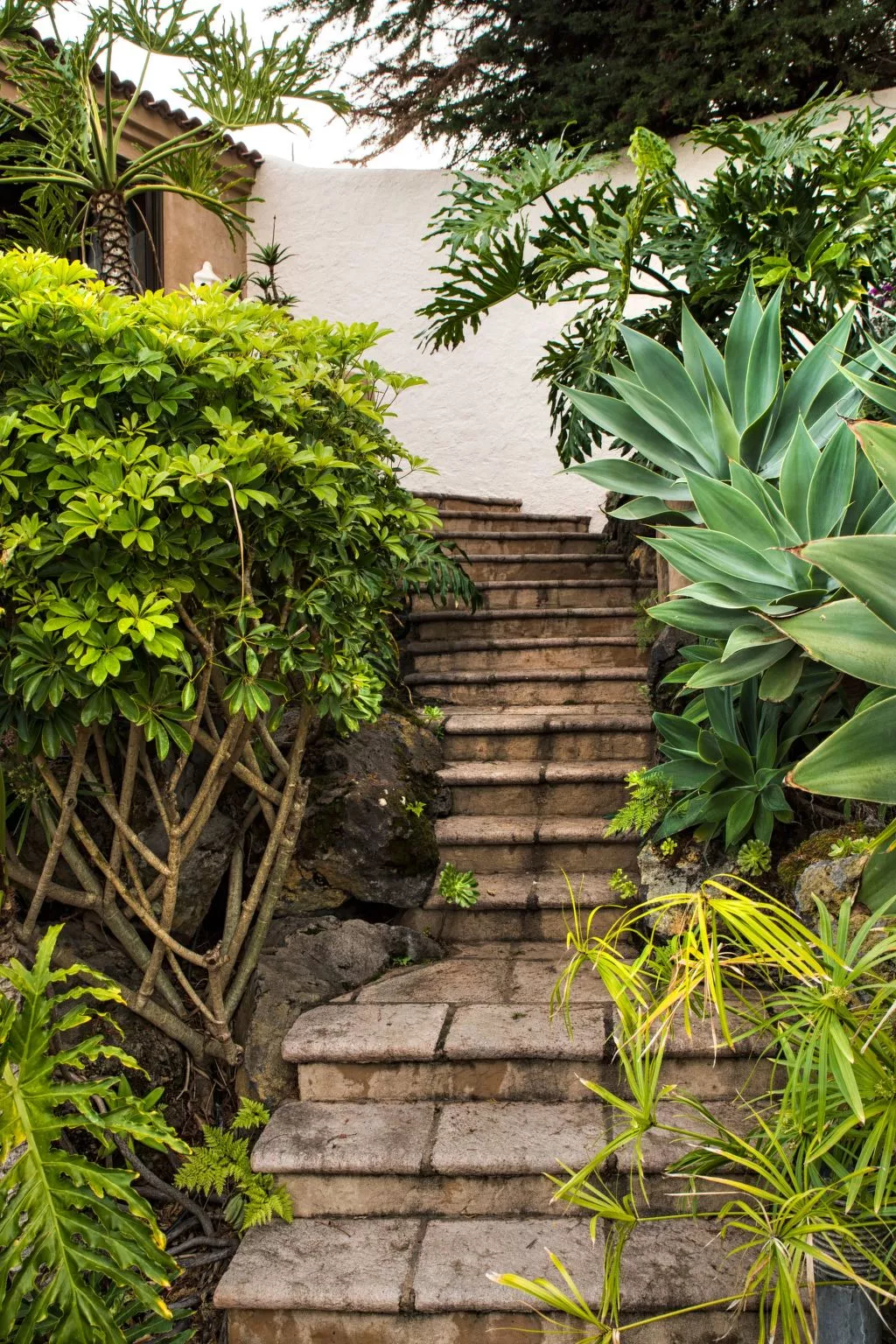 In La Matanza De Acentejo mit Großem Garten und Panoramablick - Image-tags.info
