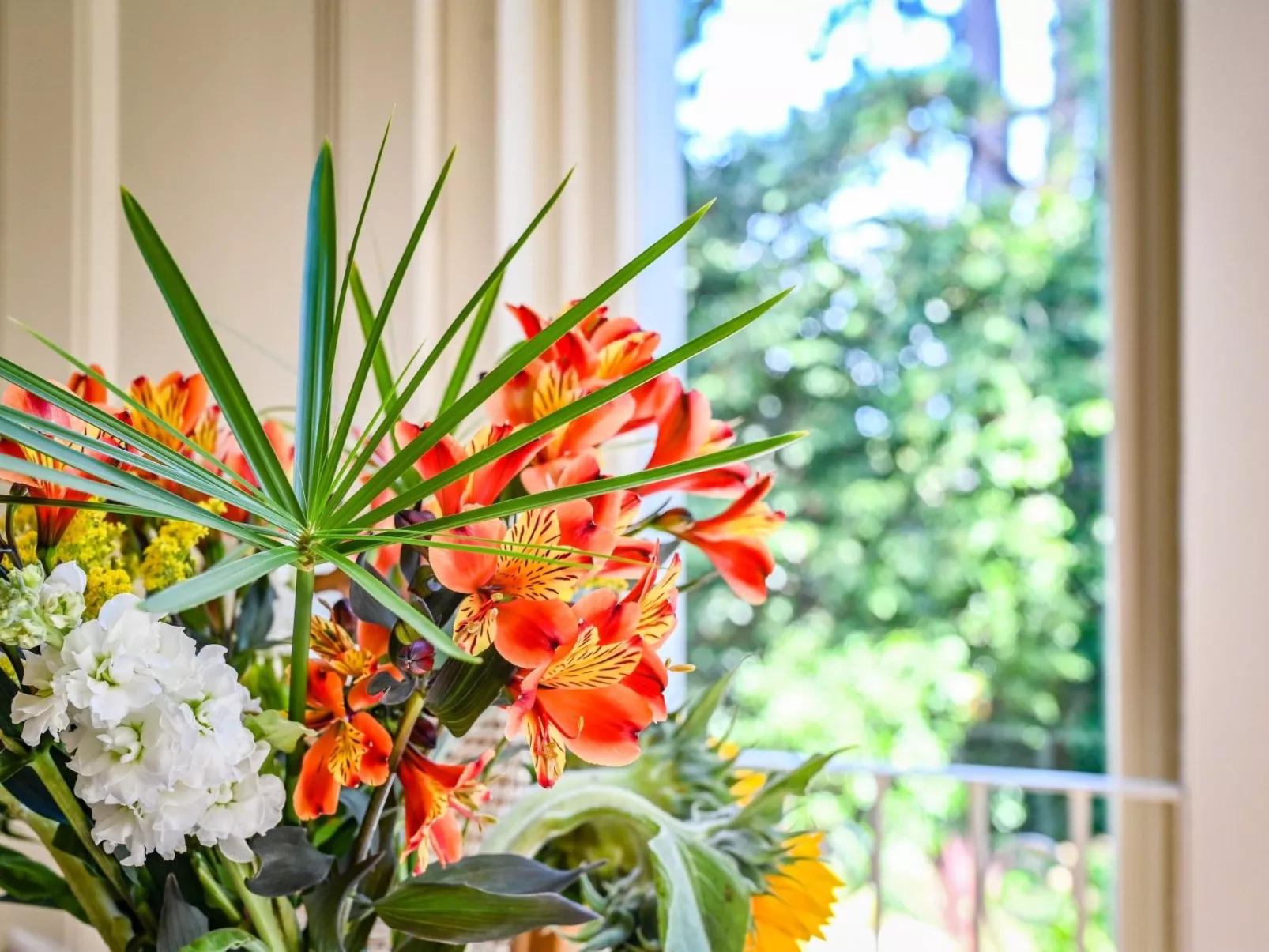 Luxuriöse Erdgeschosswohnung - Image-tags.info