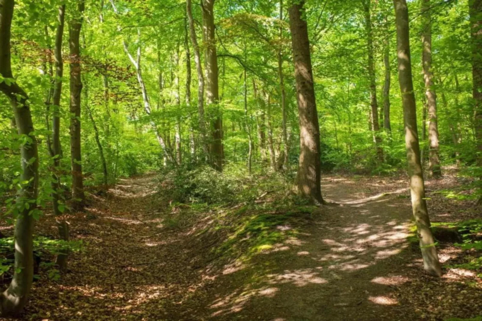 Domaine de Gavaudun - Maison Guyenne-Gebieden zomer 5km