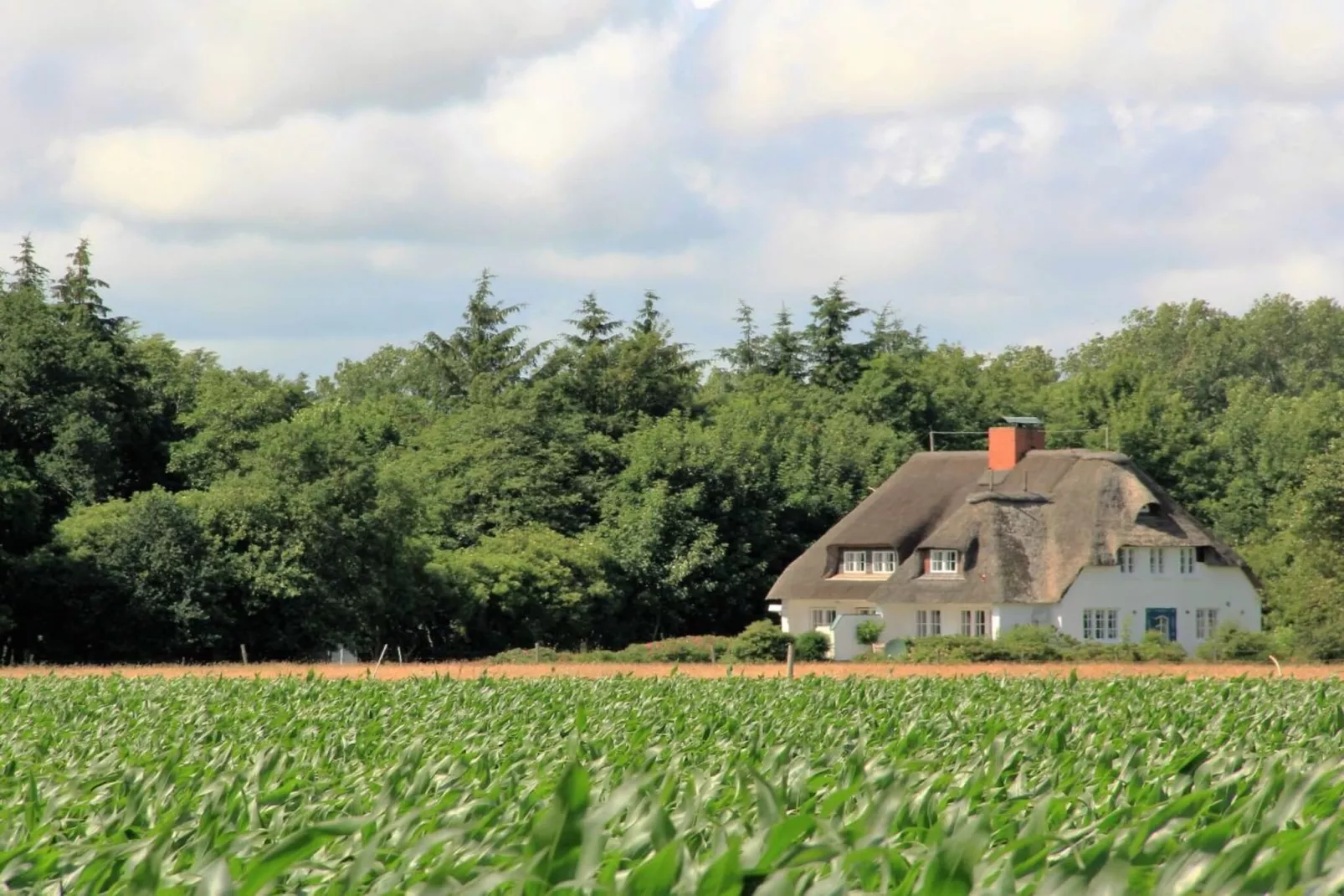 142985-Buitenkant zomer