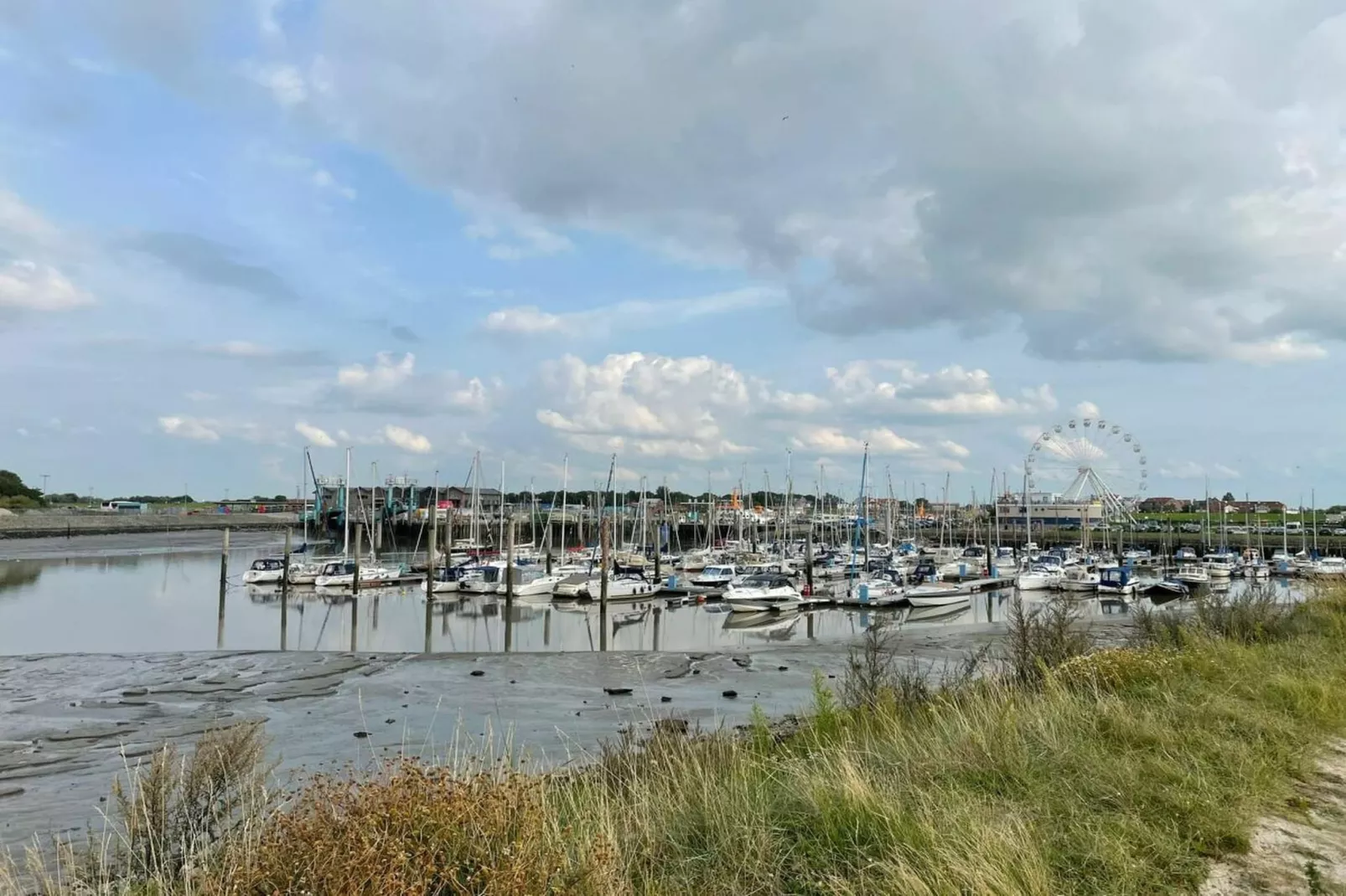 389318-Gebieden zomer 5km