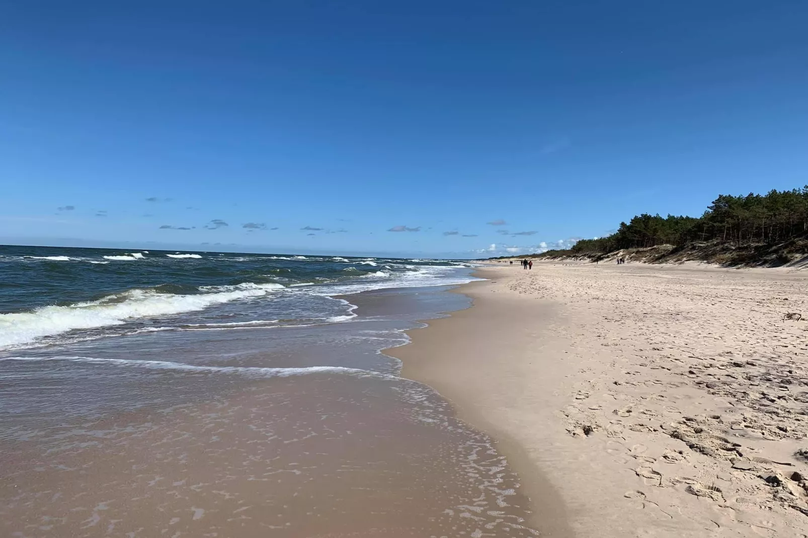 Domki wakacyjne JAROSZOWIEC domki 1-pokojowe Łazy - Gebieden zomer 1km
