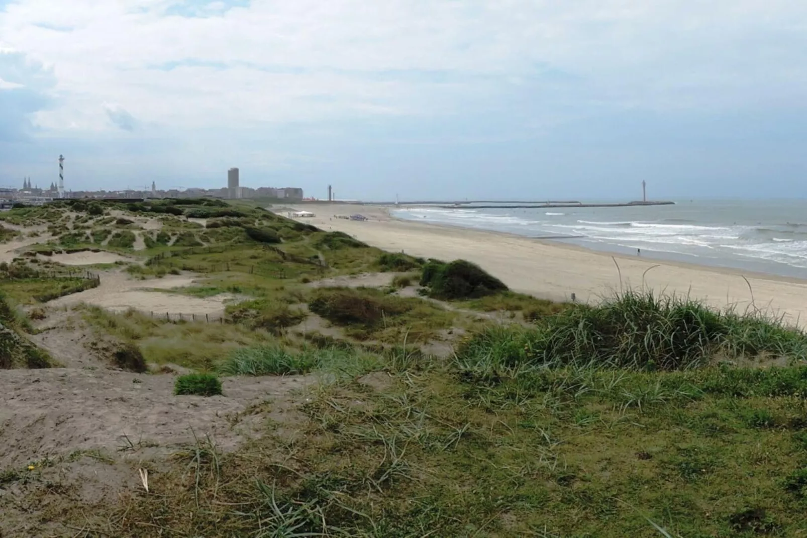 100809-Gebieden zomer 5km