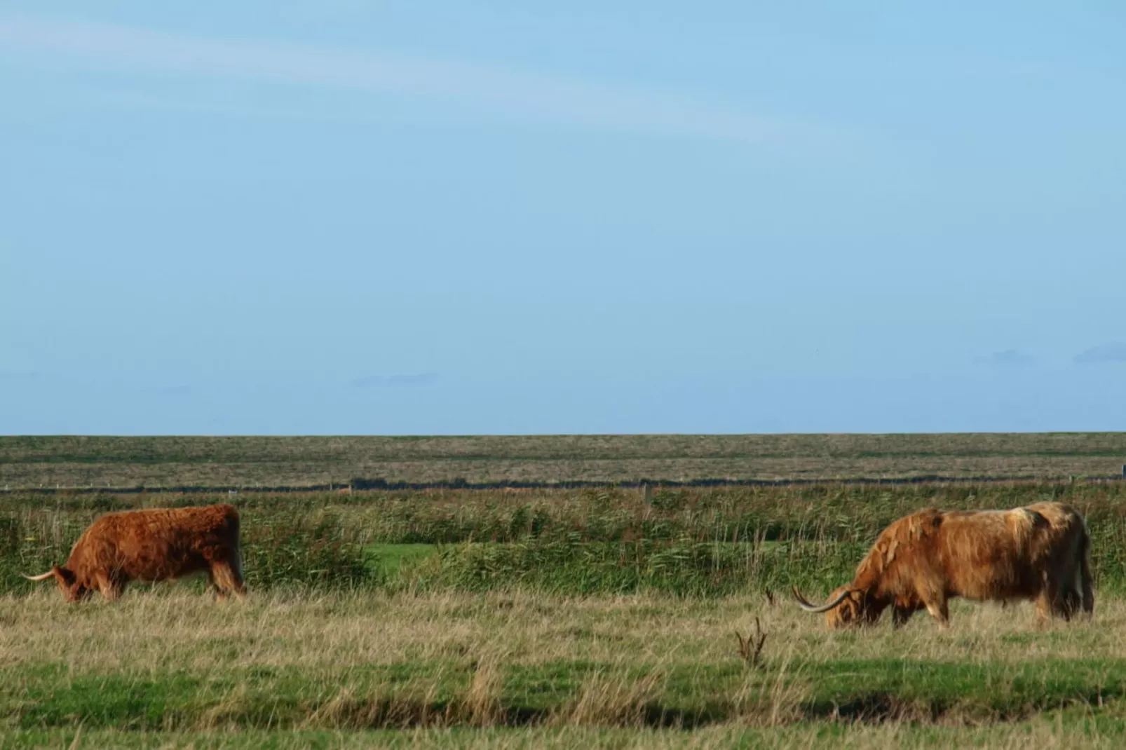 185172-Gebieden zomer 5km