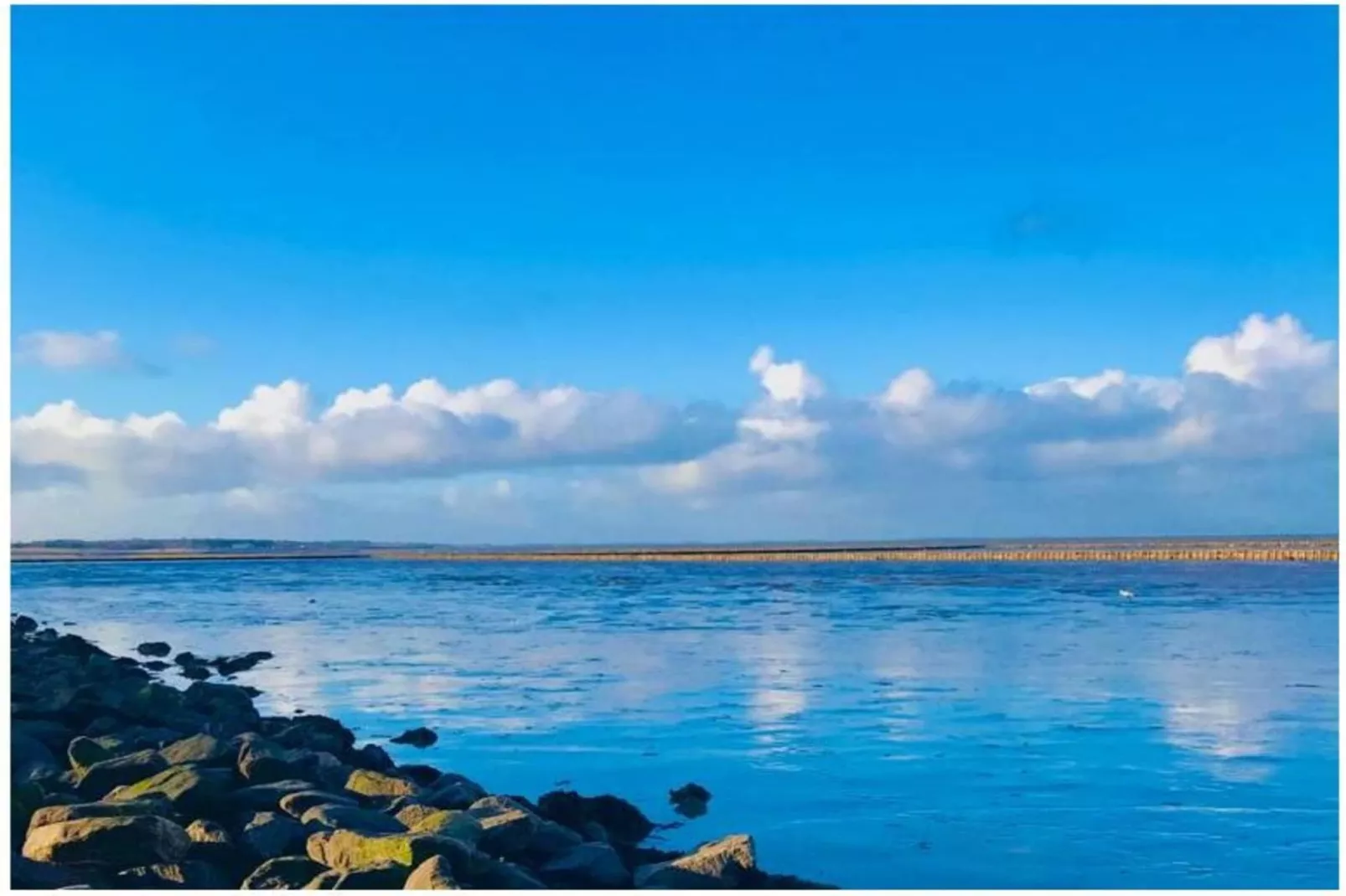 139423-Gebieden zomer 5km