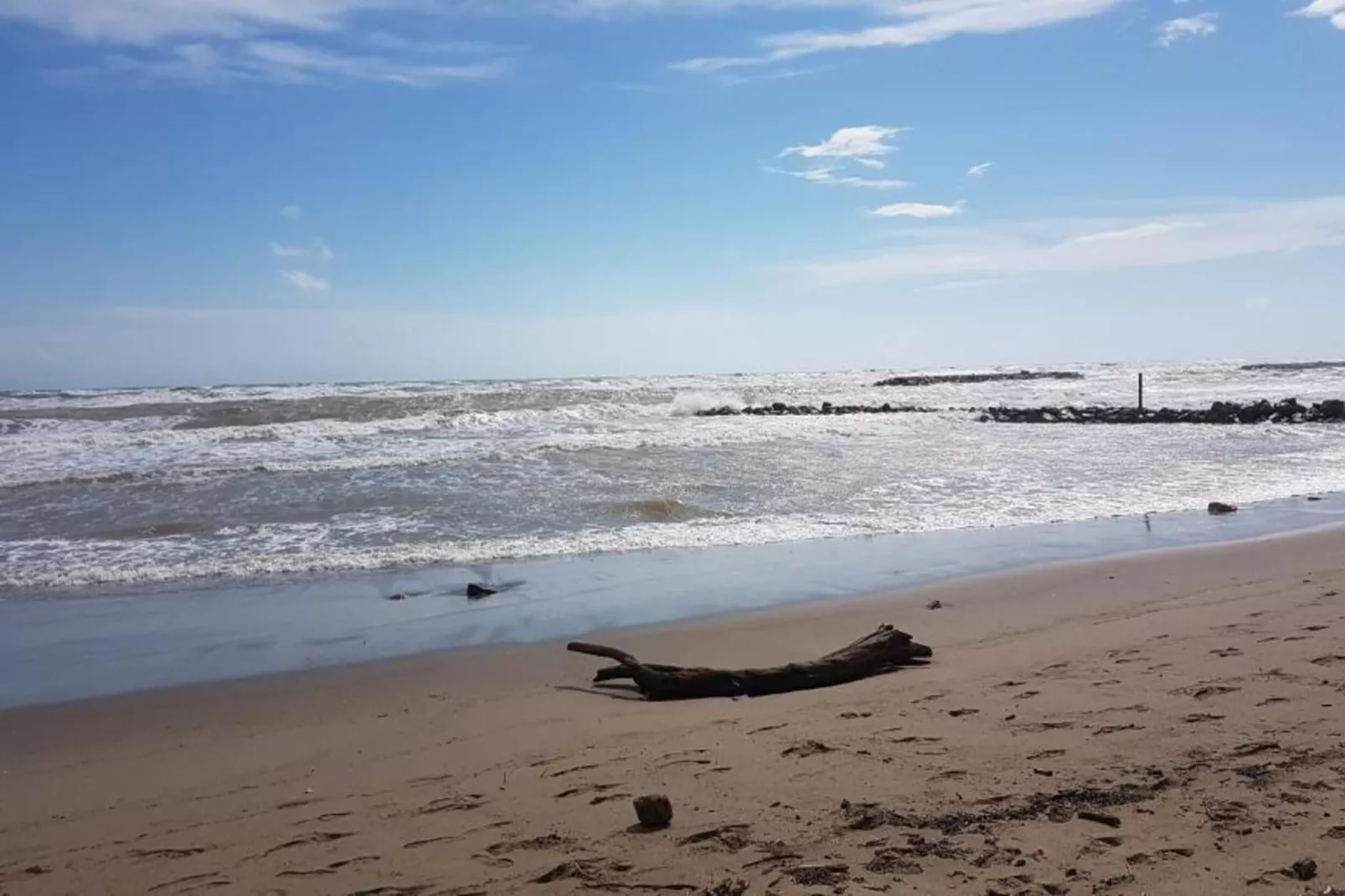 La Dune N°46 - VILLA 3P6-Gebieden zomer 1km