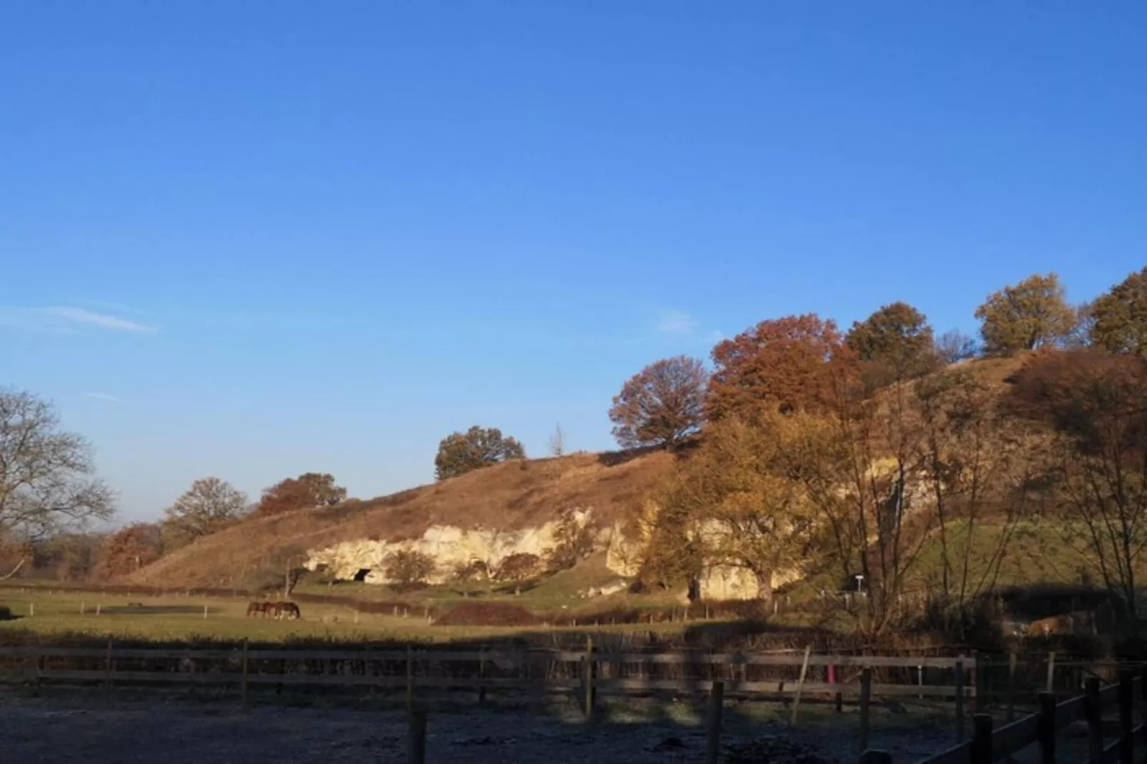 Schaelsbergerbosch - Fireplace & Sauna-Gebieden zomer 20km