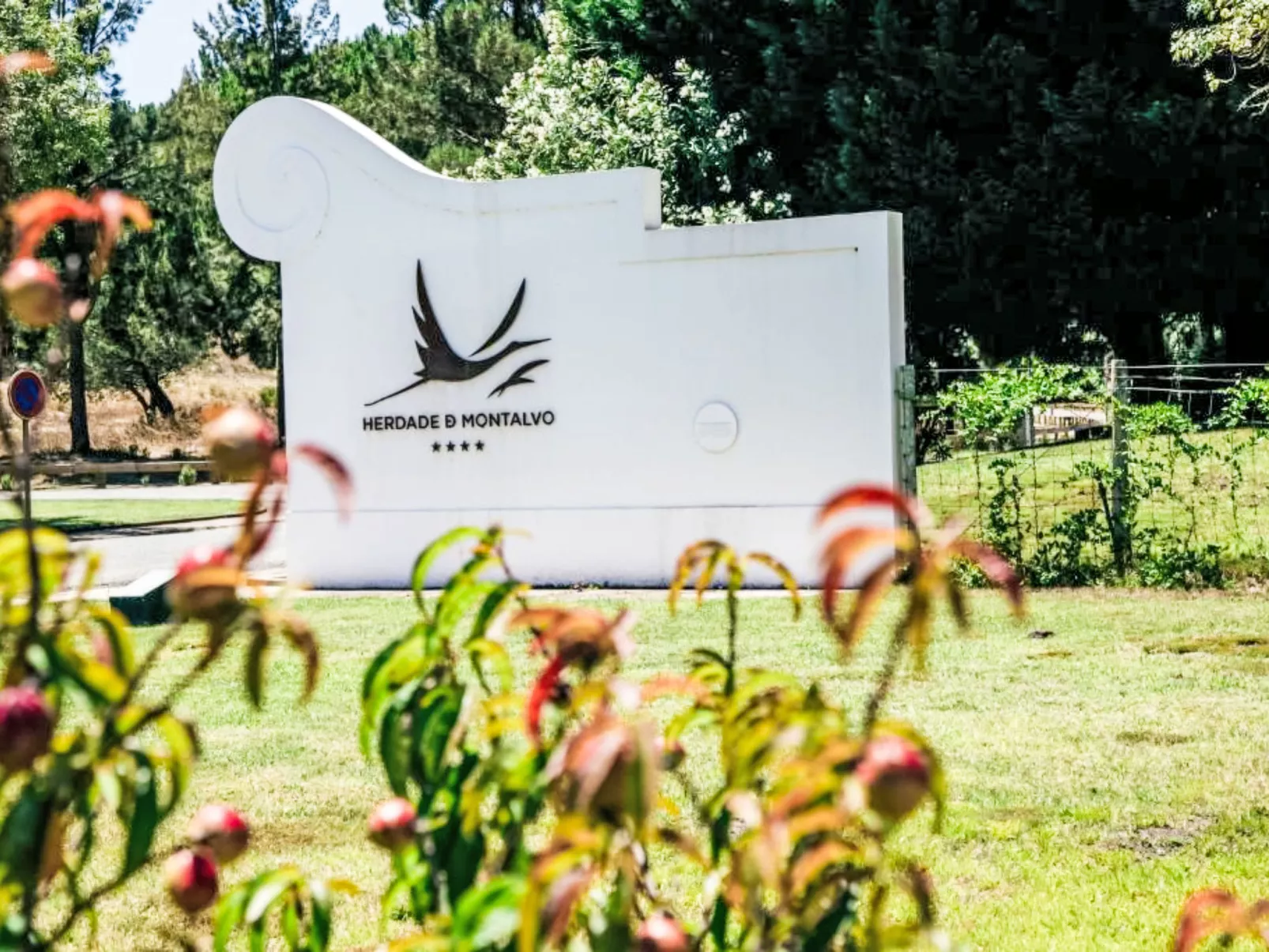 Villa Cegonha-Buiten